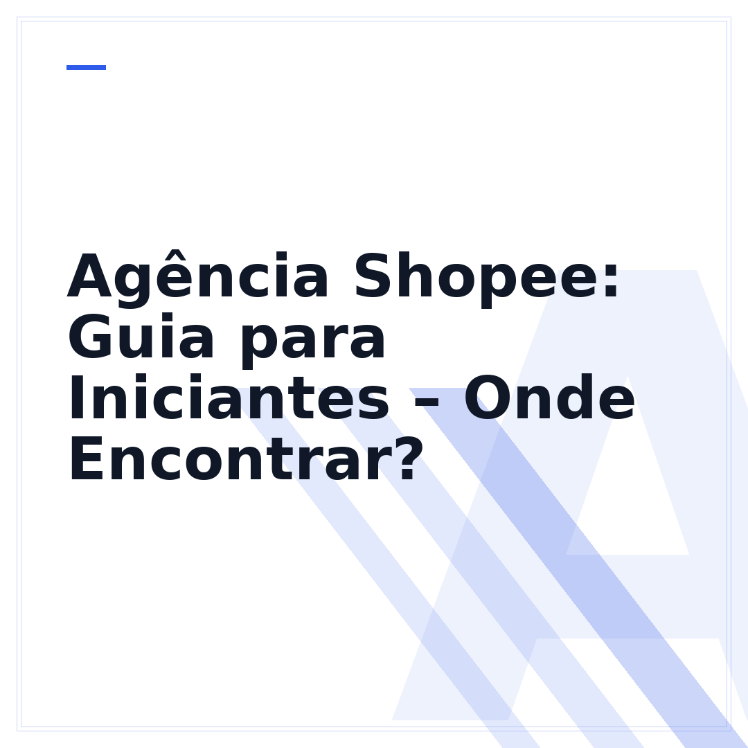 Agência Shopee: Guia para Iniciantes – Onde Encontrar?