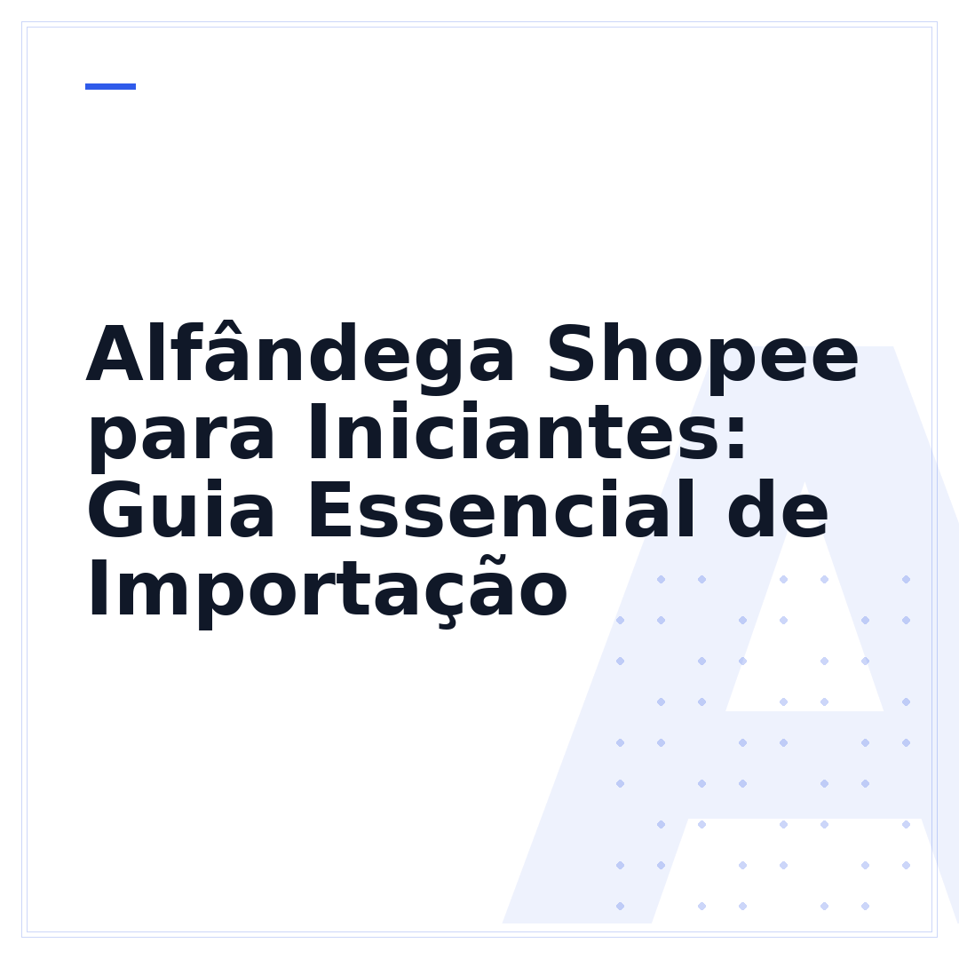 Alfândega Shopee para Iniciantes: Guia Essencial de Importação