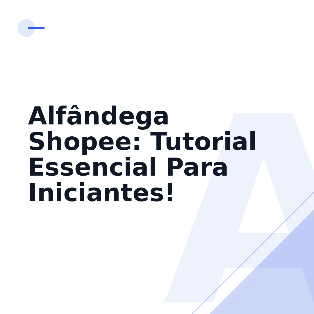 Alfândega Shopee: Tutorial Essencial Para Iniciantes!