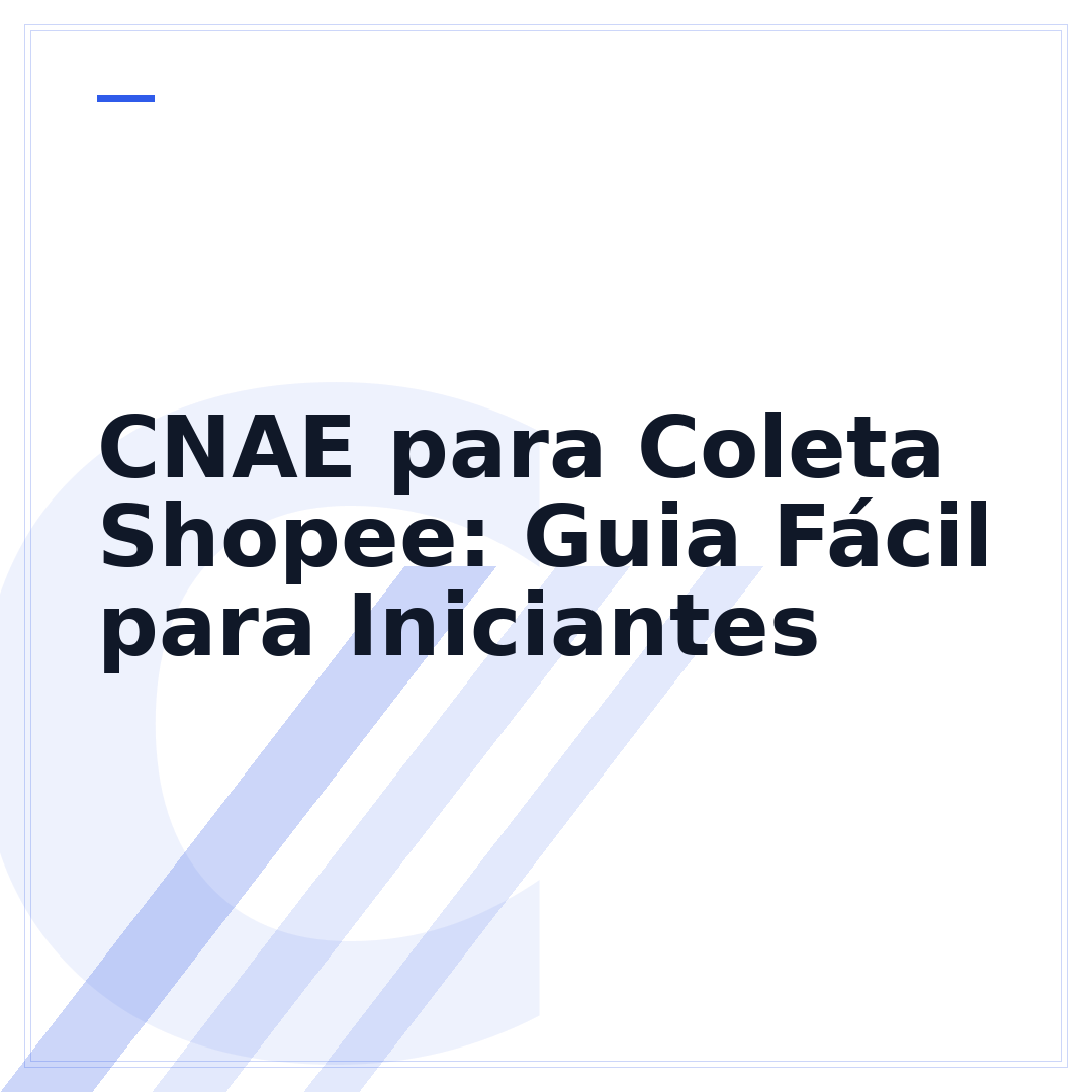 CNAE para Coleta Shopee: Guia Fácil para Iniciantes