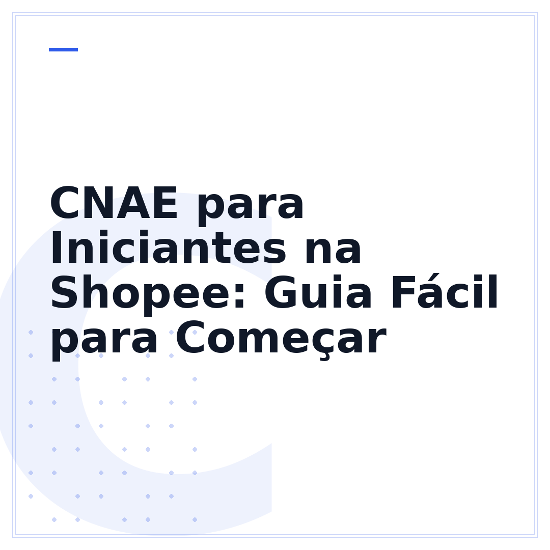 CNAE para Iniciantes na Shopee: Guia Fácil para Começar