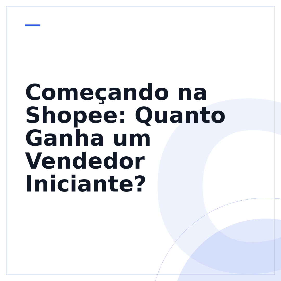 Começando na Shopee: Quanto Ganha um Vendedor Iniciante?
