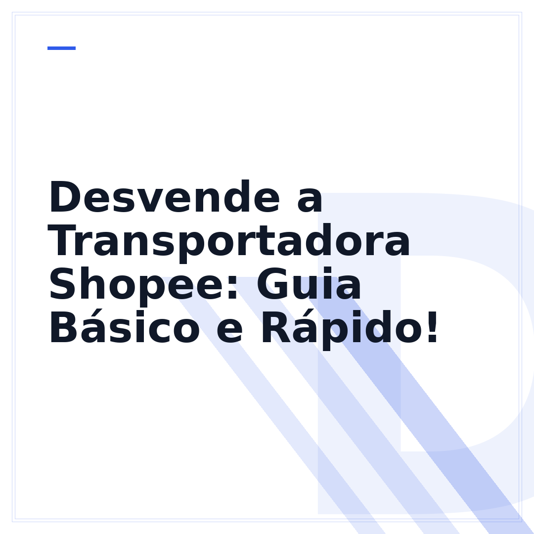 Desvende a Transportadora Shopee: Guia Básico e Rápido!