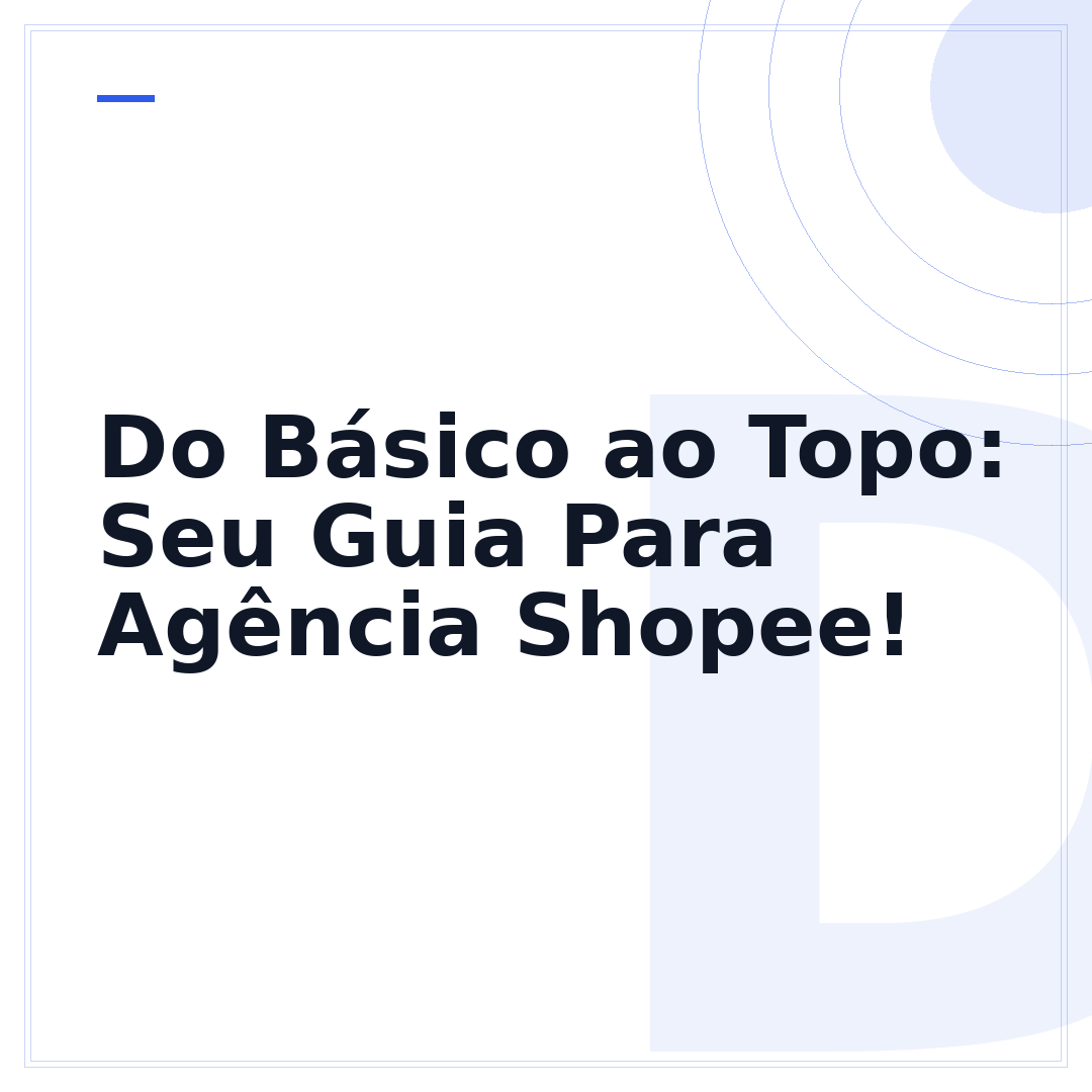 Do Básico ao Topo: Seu Guia Para Agência Shopee!