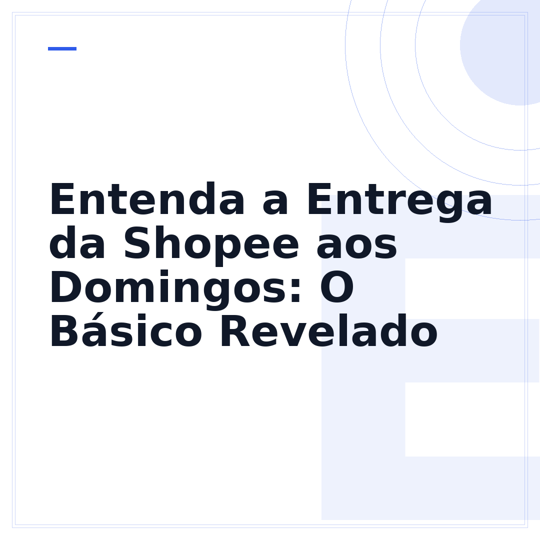 Entenda a Entrega da Shopee aos Domingos: O Básico Revelado