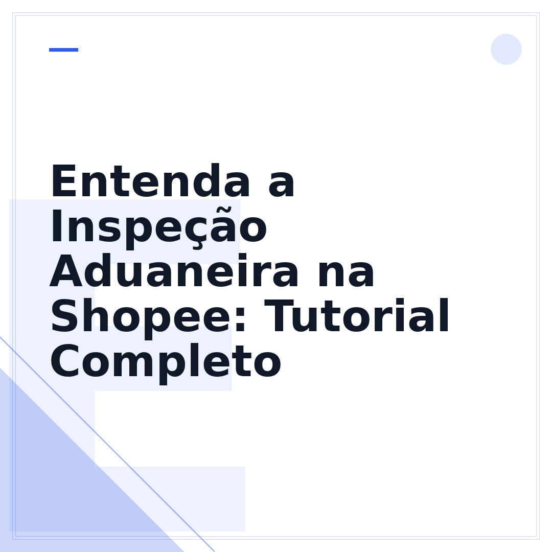Entenda a Inspeção Aduaneira na Shopee: Tutorial Completo