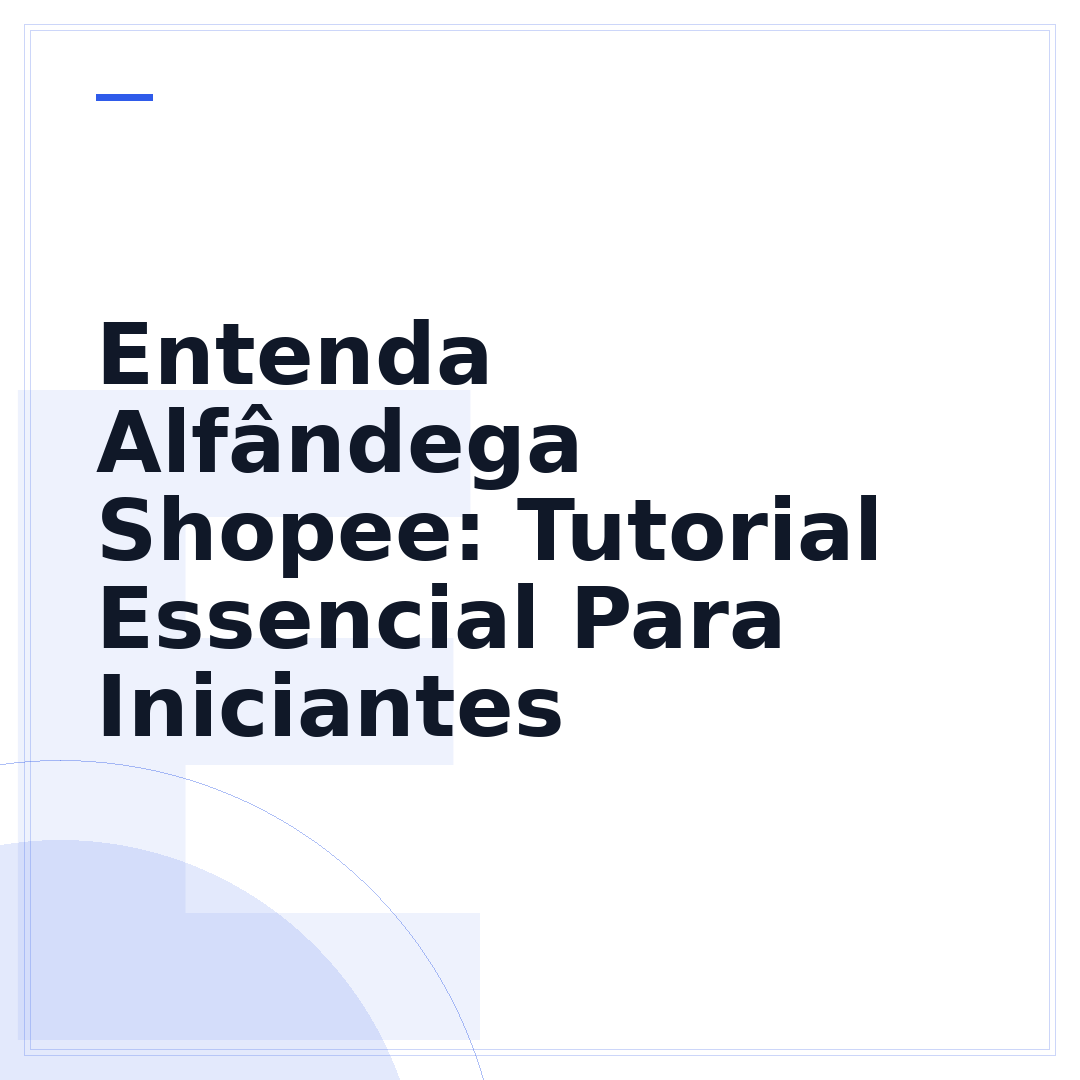 Entenda Alfândega Shopee: Tutorial Essencial Para Iniciantes