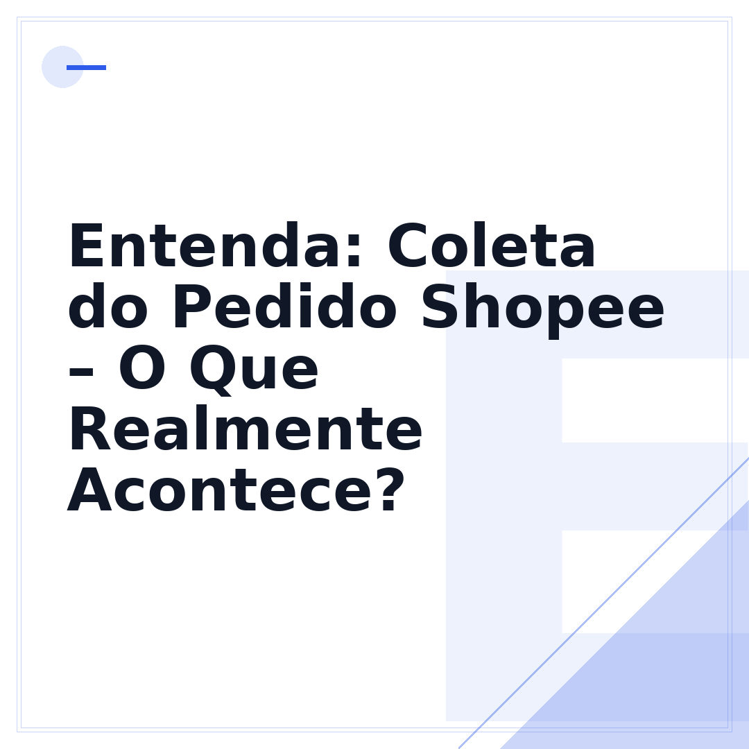 Entenda: Coleta do Pedido Shopee – O Que Realmente Acontece?