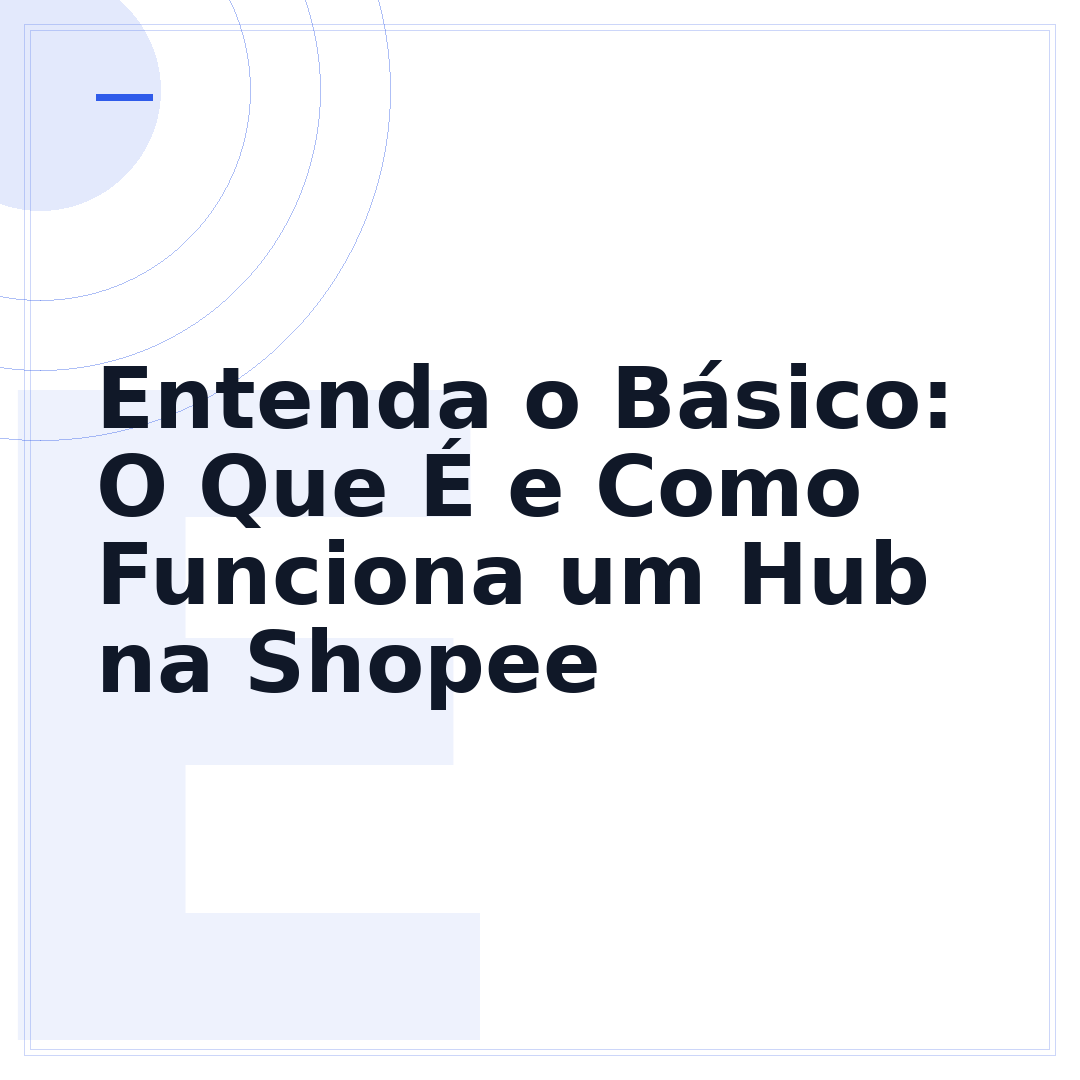 Entenda o Básico: O Que É e Como Funciona um Hub na Shopee