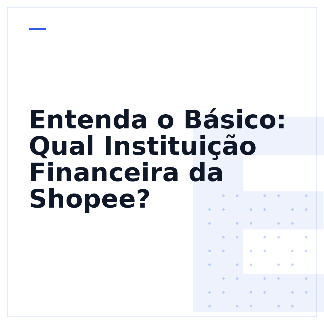 Entenda o Básico: Qual Instituição Financeira da Shopee?