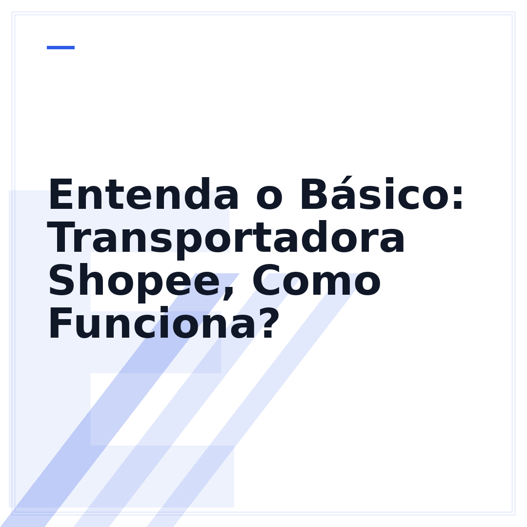 Entenda o Básico: Transportadora Shopee, Como Funciona?