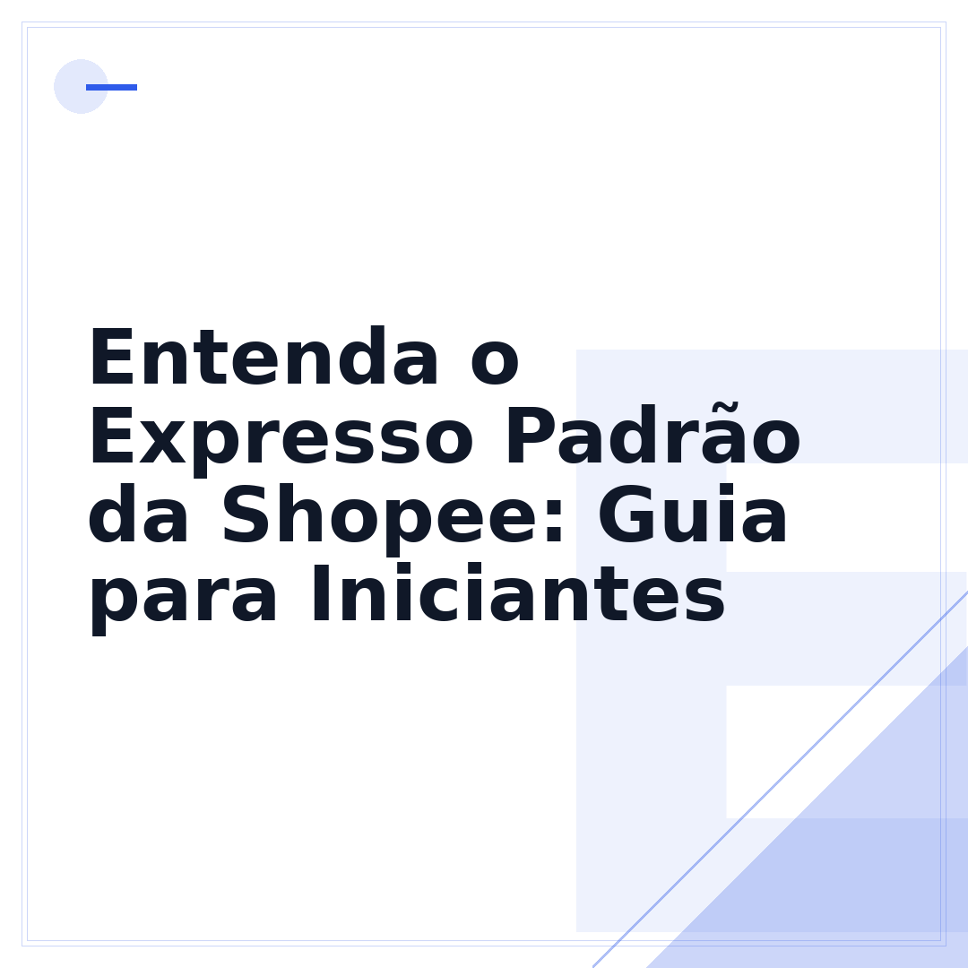 Entenda o Expresso Padrão da Shopee: Guia para Iniciantes