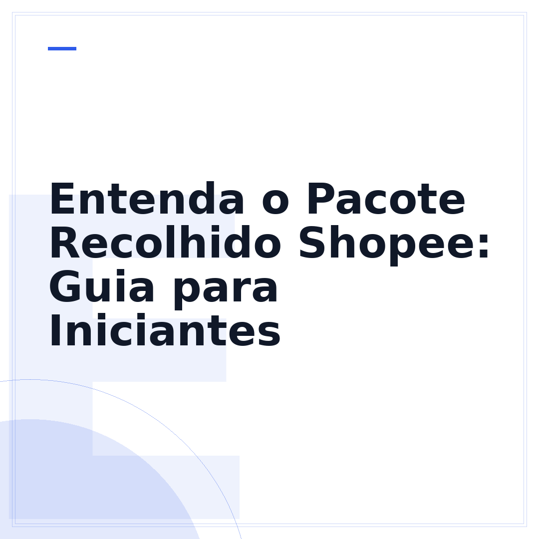 Entenda o Pacote Recolhido Shopee: Guia para Iniciantes