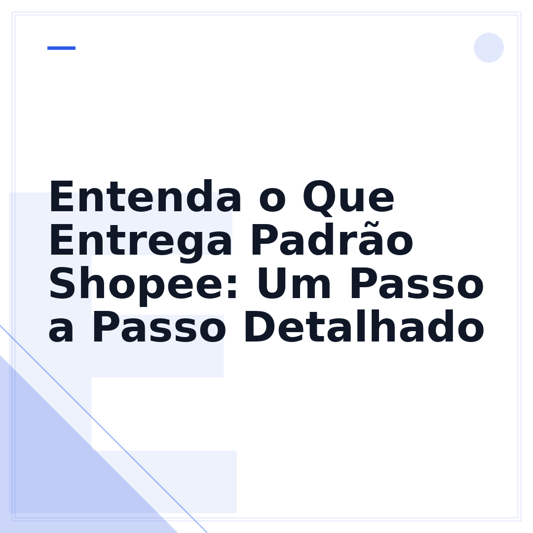 Entenda o Que Entrega Padrão Shopee: Um Passo a Passo Detalhado