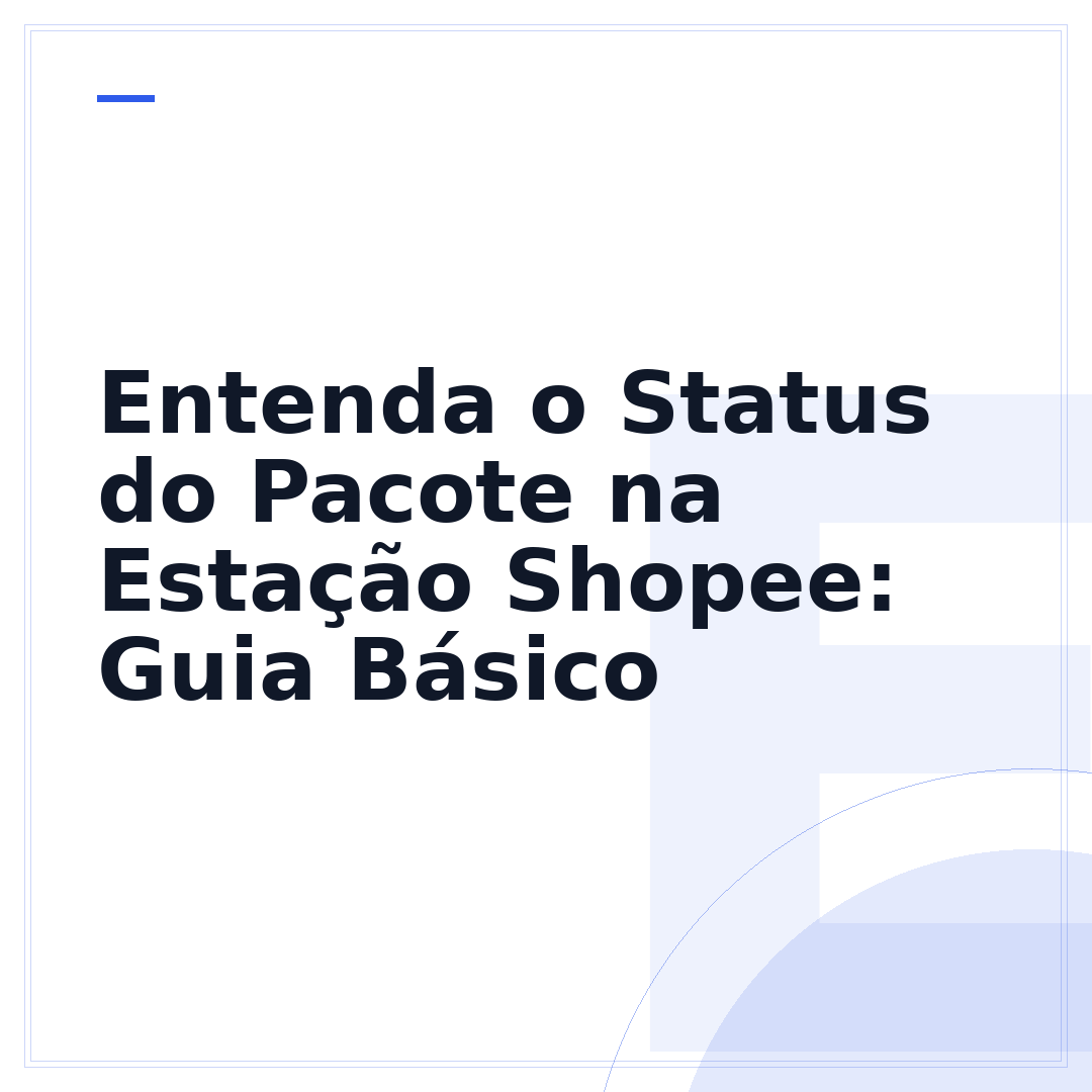 Entenda o Status do Pacote na Estação Shopee: Guia Básico
