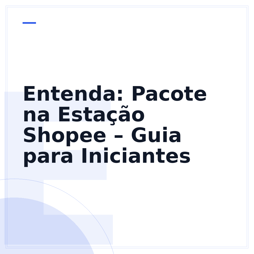 Entenda: Pacote na Estação Shopee – Guia para Iniciantes