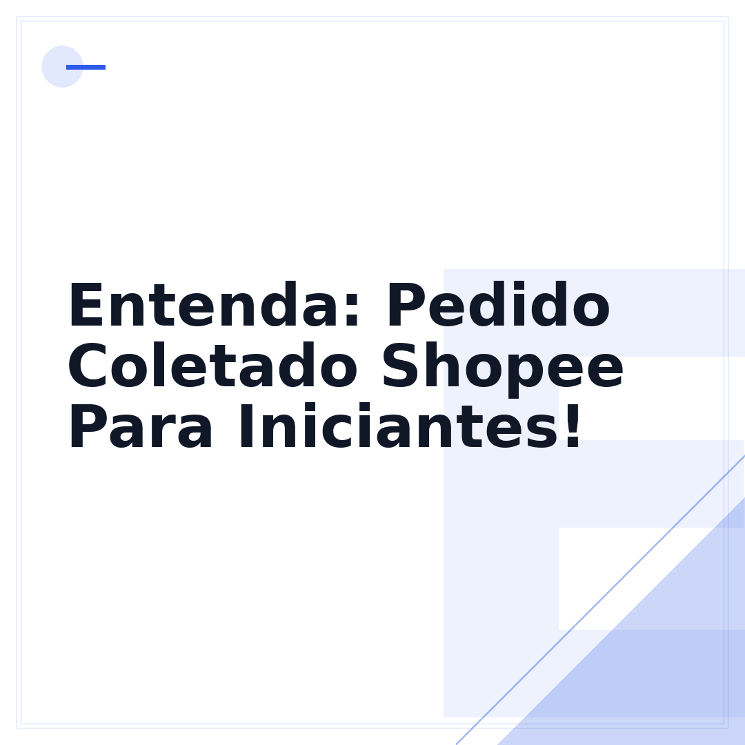 Entenda: Pedido Coletado Shopee Para Iniciantes!
