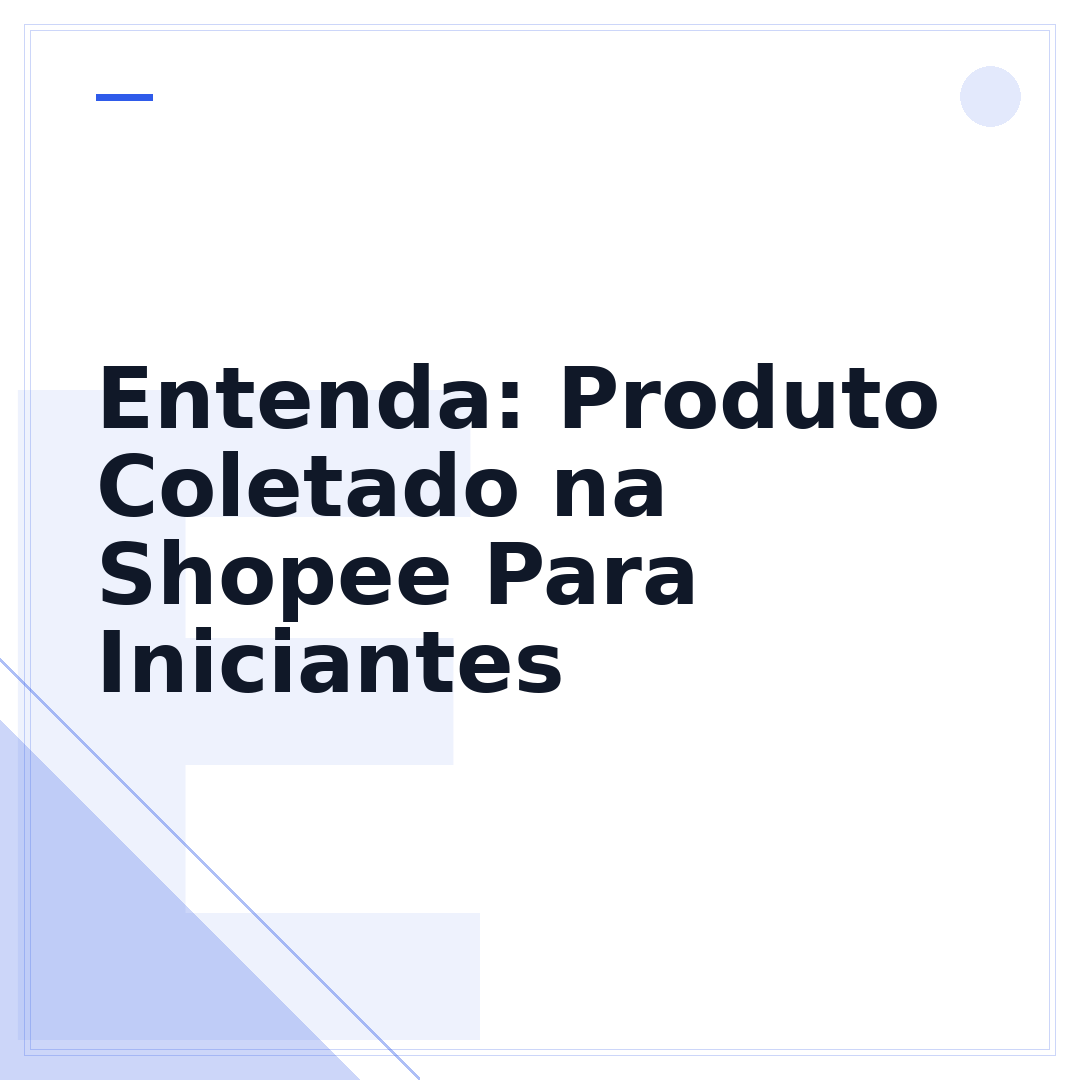 Entenda: Produto Coletado na Shopee Para Iniciantes