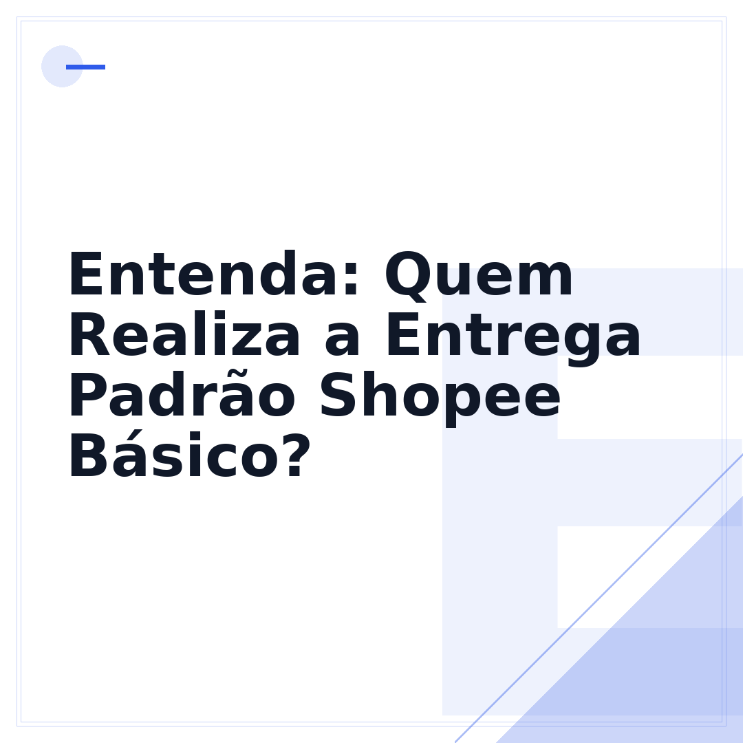 Entenda: Quem Realiza a Entrega Padrão Shopee Básico?