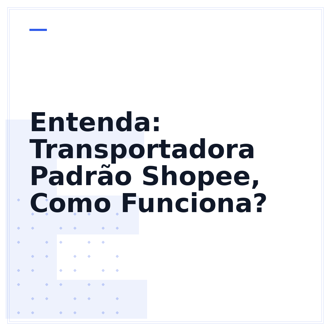 Entenda: Transportadora Padrão Shopee, Como Funciona?