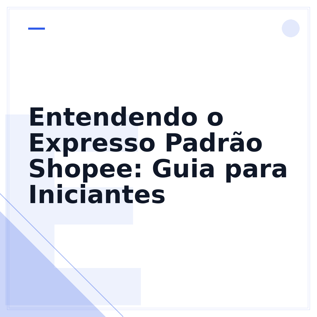 Entendendo o Expresso Padrão Shopee: Guia para Iniciantes