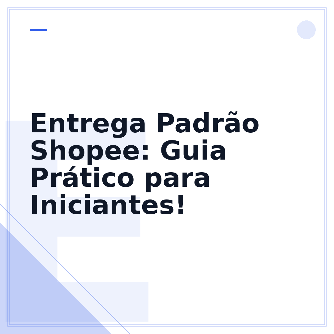 Entrega Padrão Shopee: Guia Prático para Iniciantes!