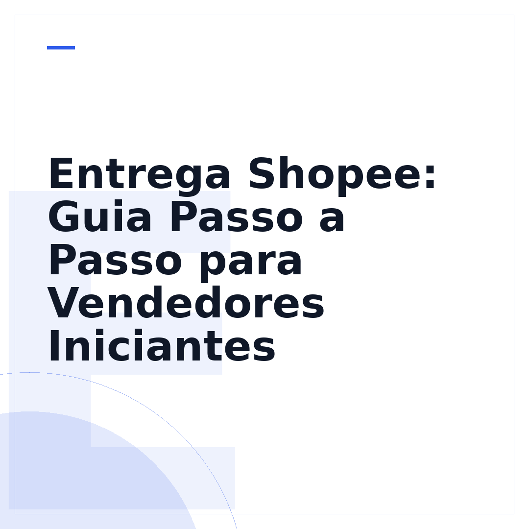 Entrega Shopee: Guia Passo a Passo para Vendedores Iniciantes