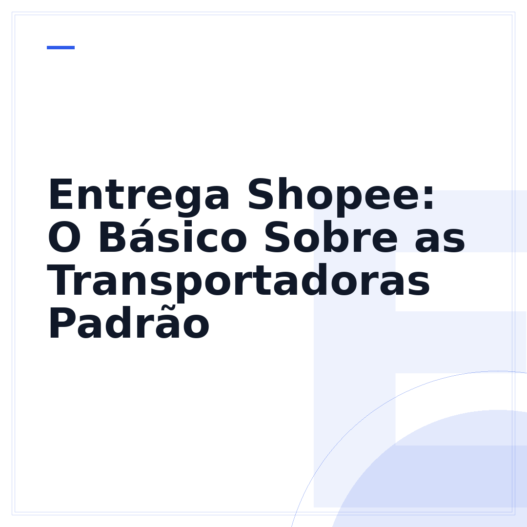 Entrega Shopee: O Básico Sobre as Transportadoras Padrão