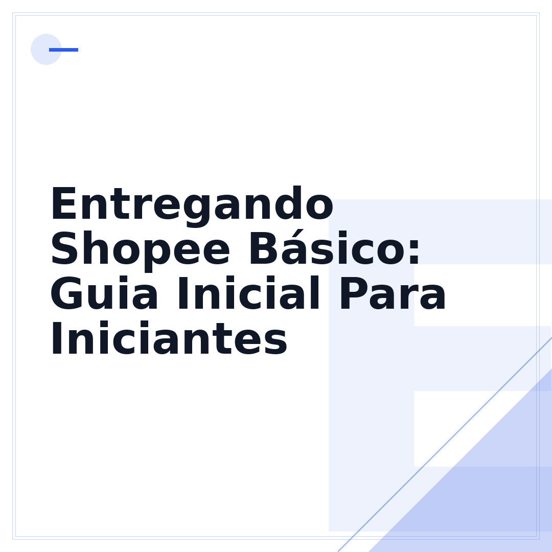 Entregando Shopee Básico: Guia Inicial Para Iniciantes