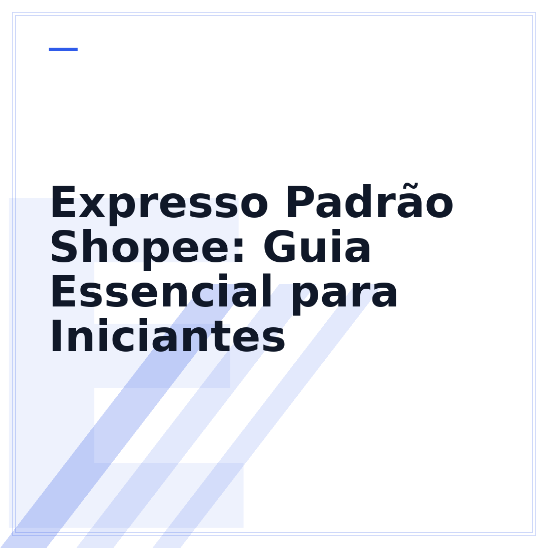 Expresso Padrão Shopee: Guia Essencial para Iniciantes