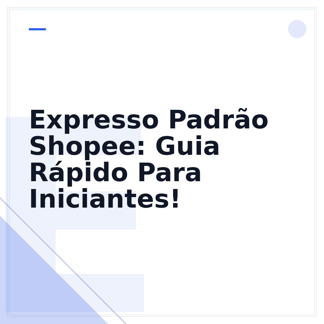 Expresso Padrão Shopee: Guia Rápido Para Iniciantes!