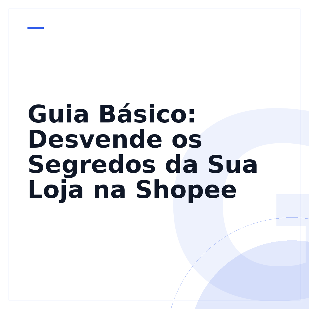 Guia Básico: Desvende os Segredos da Sua Loja na Shopee