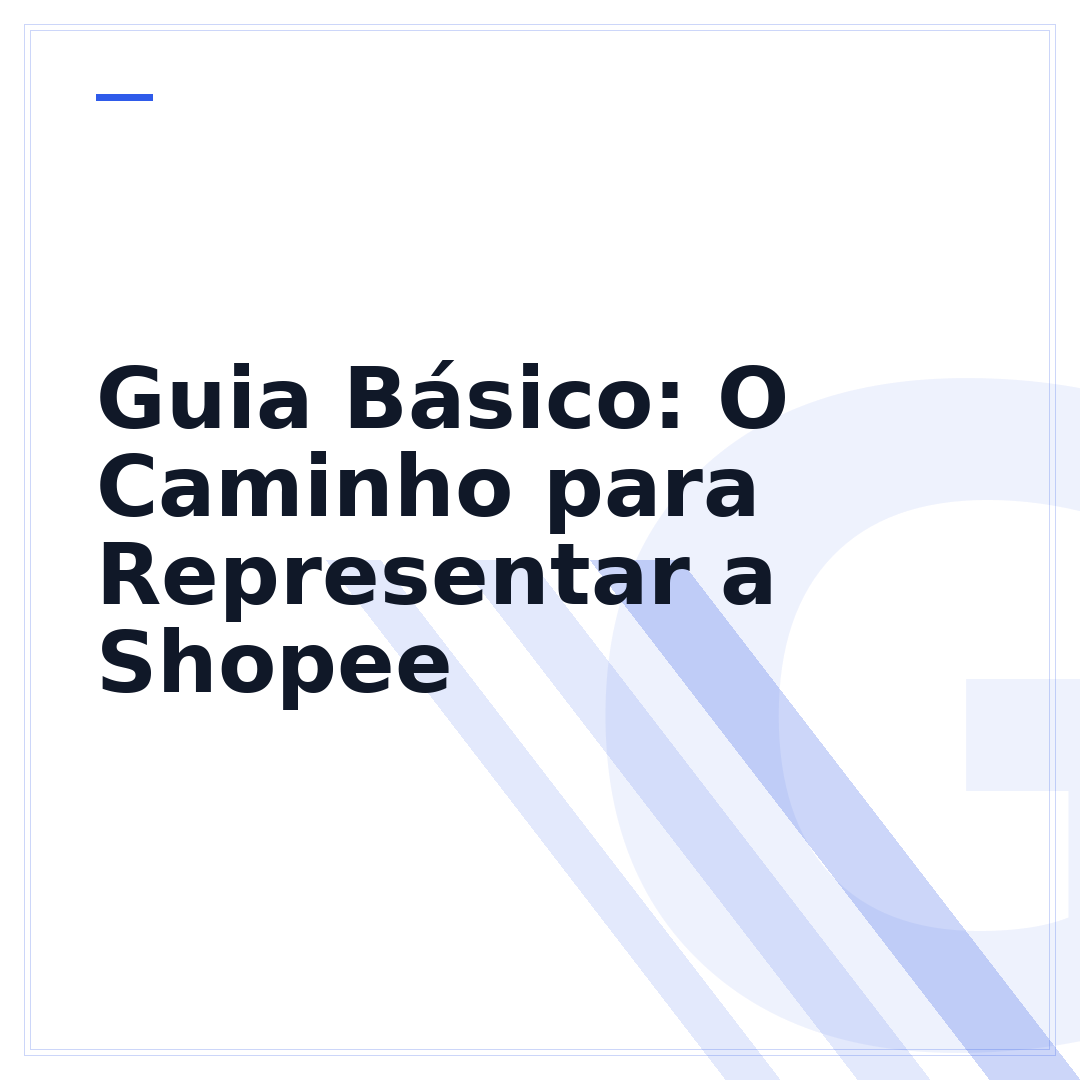 Guia Básico: O Caminho para Representar a Shopee