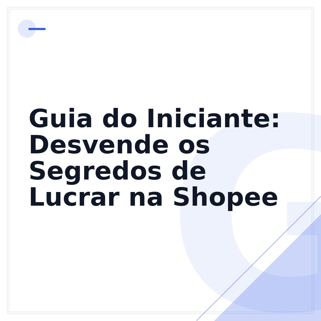 Guia do Iniciante: Desvende os Segredos de Lucrar na Shopee
