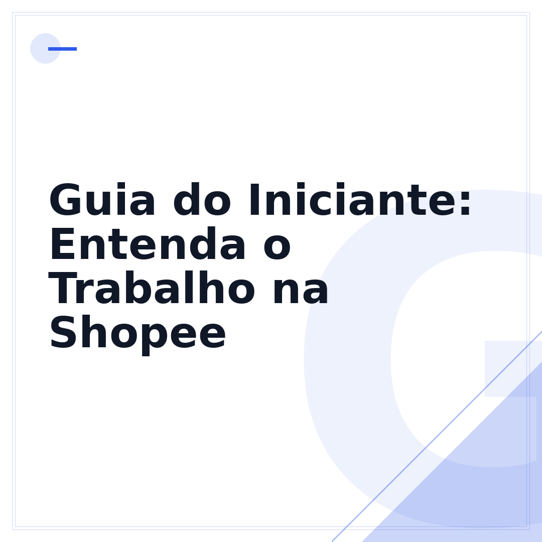 Guia do Iniciante: Entenda o Trabalho na Shopee