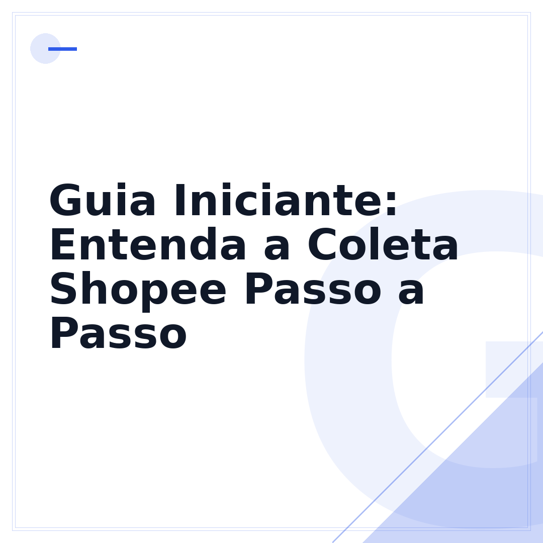 Guia Iniciante: Entenda a Coleta Shopee Passo a Passo