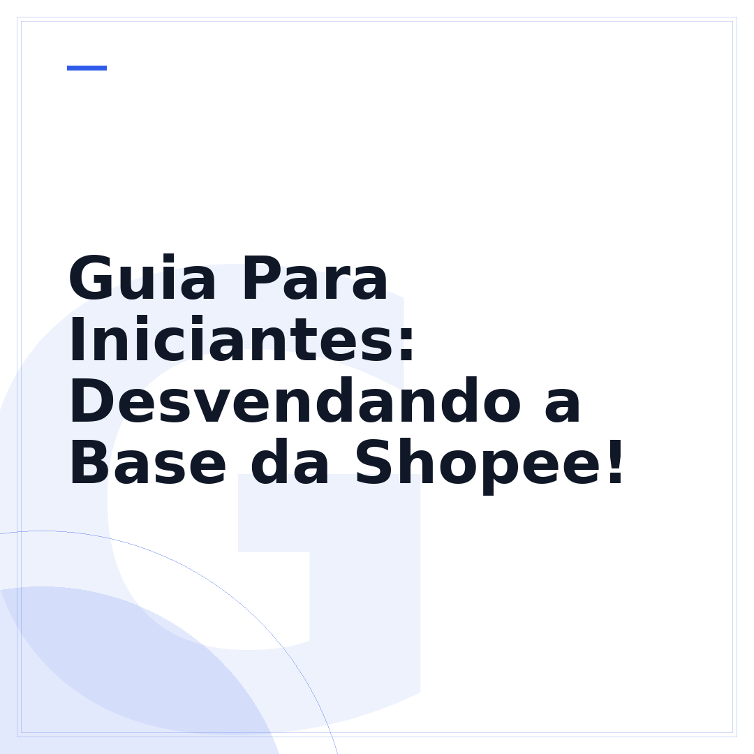 Guia Para Iniciantes: Desvendando a Base da Shopee!