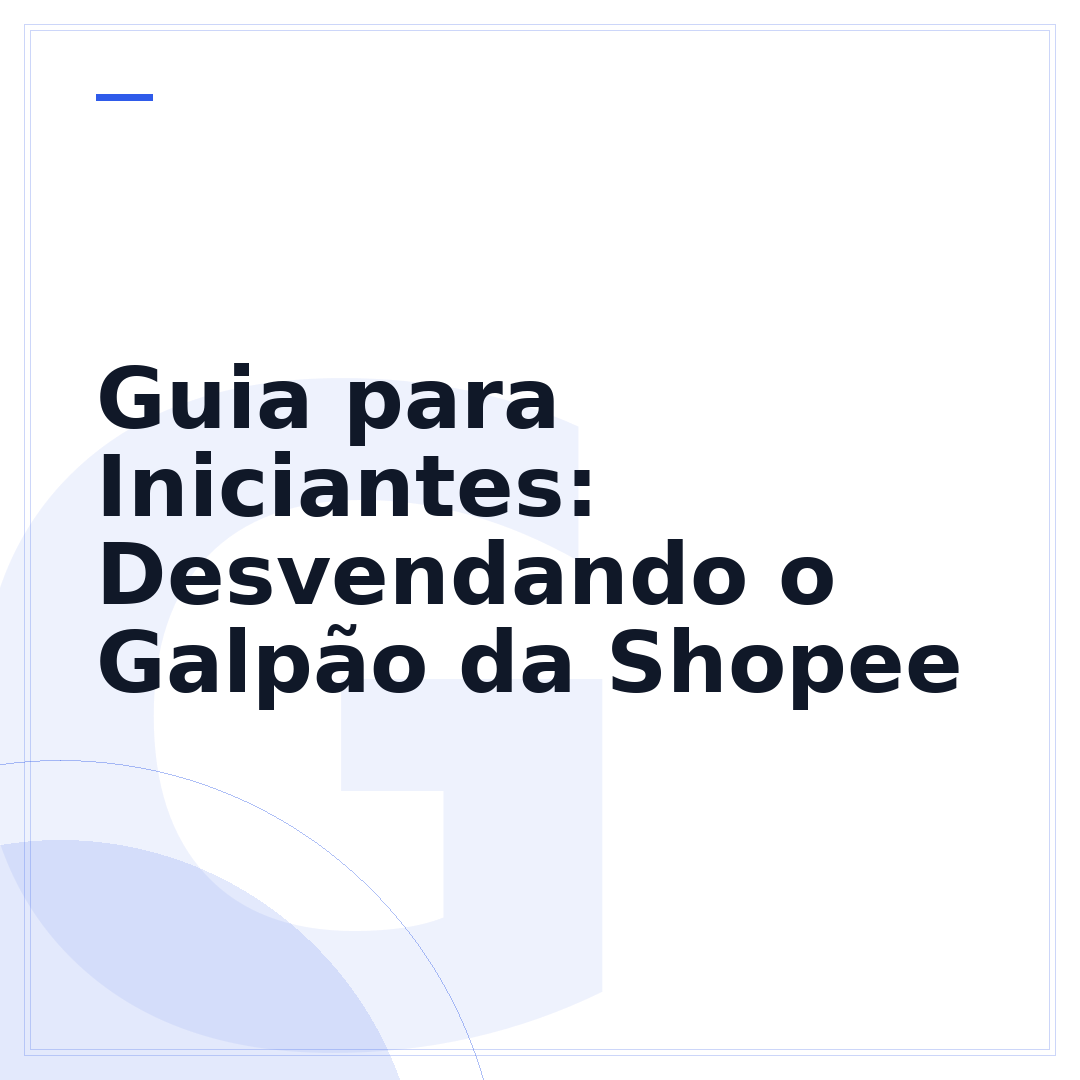 Guia para Iniciantes: Desvendando o Galpão da Shopee