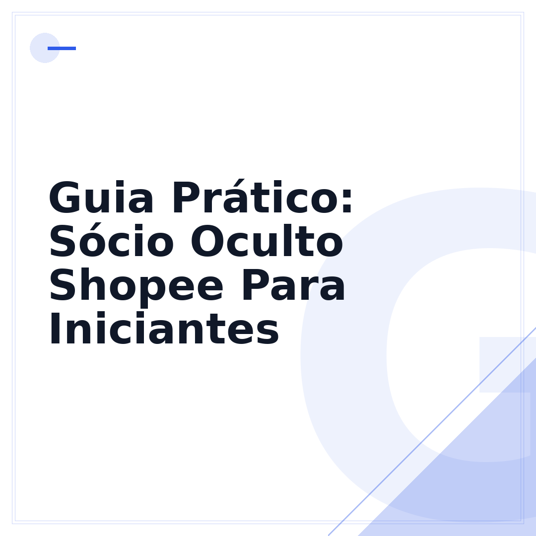 Guia Prático: Sócio Oculto Shopee Para Iniciantes
