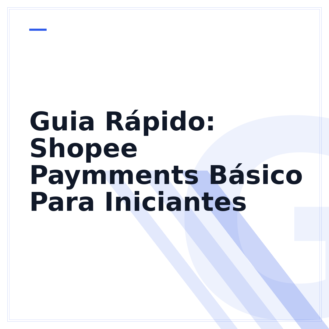 Guia Rápido: Shopee Paymments Básico Para Iniciantes