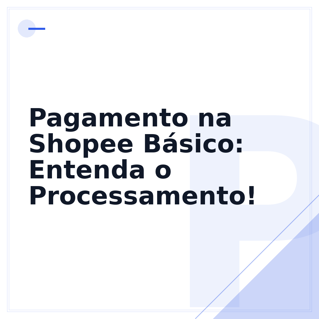 Pagamento na Shopee Básico: Entenda o Processamento!