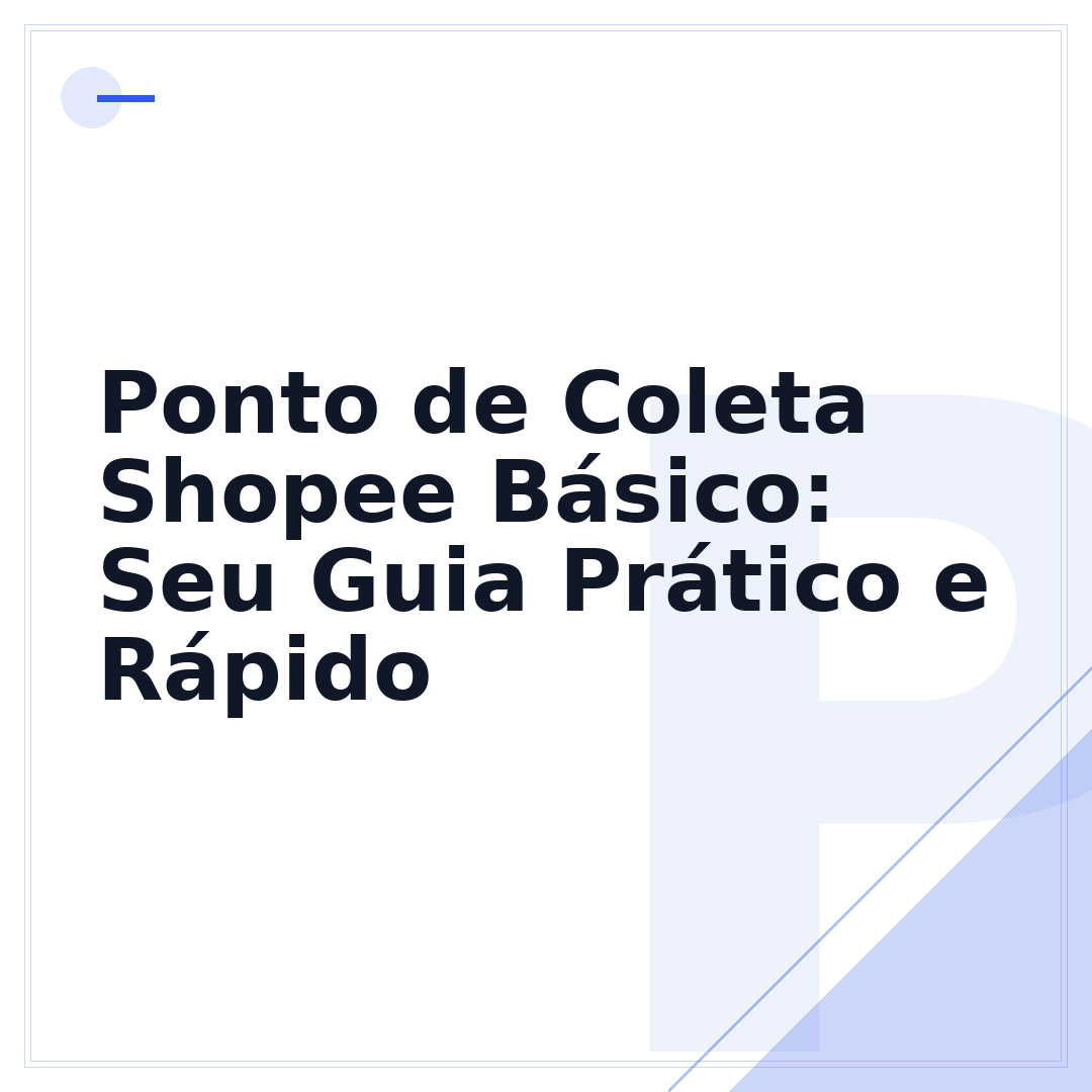 Ponto de Coleta Shopee Básico: Seu Guia Prático e Rápido