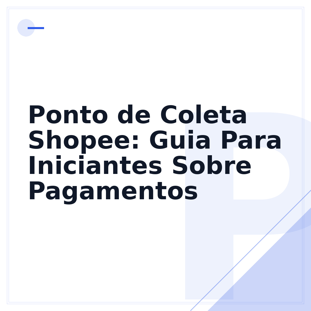 Ponto de Coleta Shopee: Guia Para Iniciantes Sobre Pagamentos