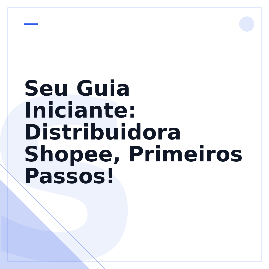 Seu Guia Iniciante: Distribuidora Shopee, Primeiros Passos!