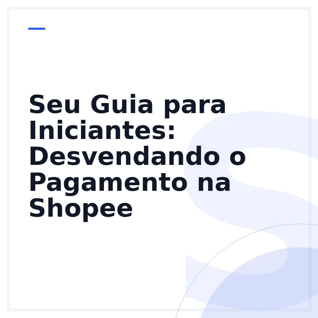 Seu Guia para Iniciantes: Desvendando o Pagamento na Shopee