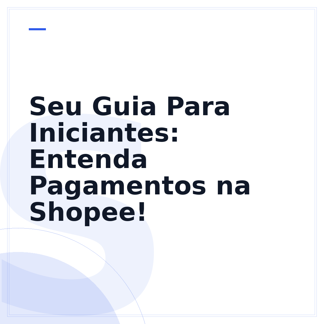 Seu Guia Para Iniciantes: Entenda Pagamentos na Shopee!