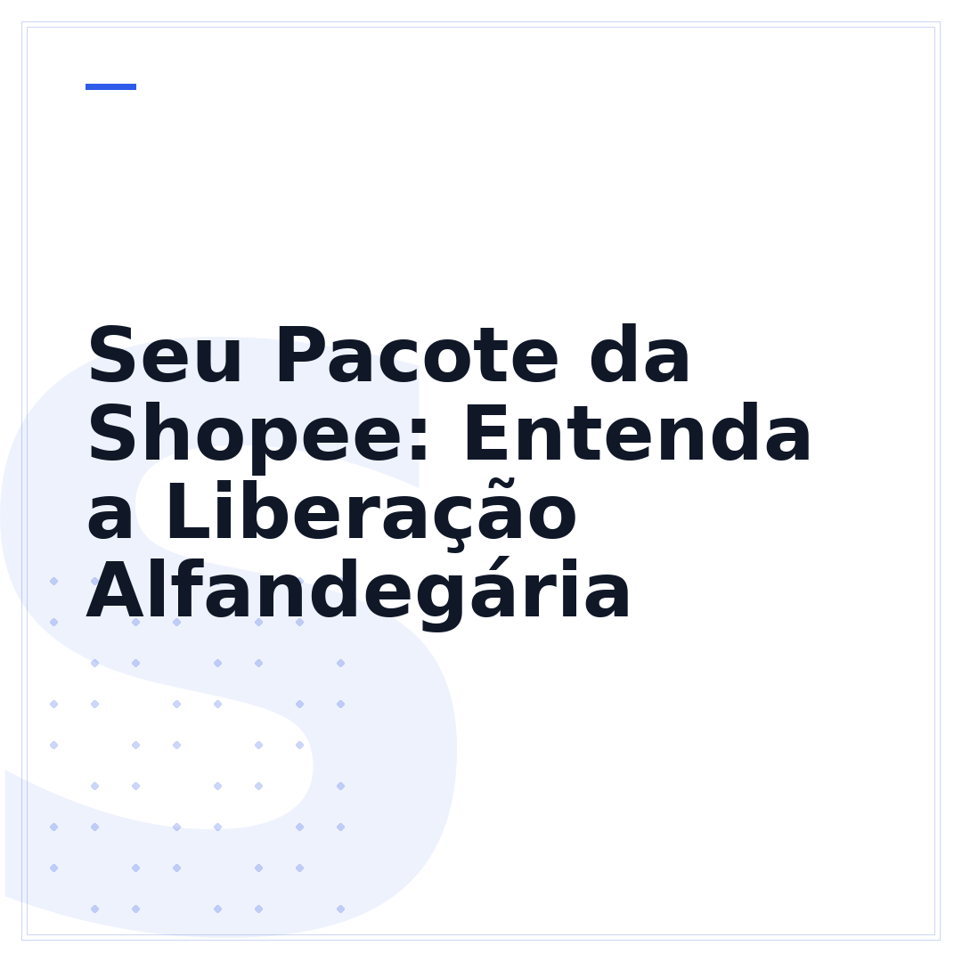 Seu Pacote da Shopee: Entenda a Liberação Alfandegária