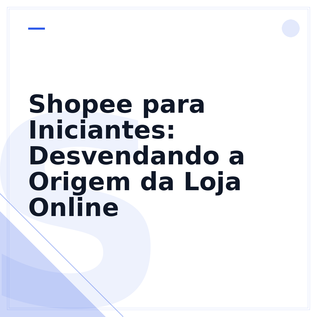 Shopee para Iniciantes: Desvendando a Origem da Loja Online