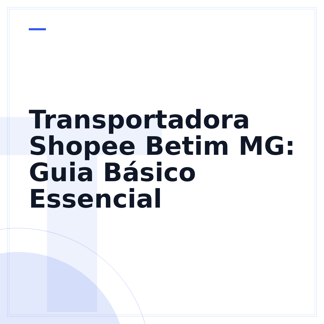 Transportadora Shopee Betim MG: Guia Básico Essencial