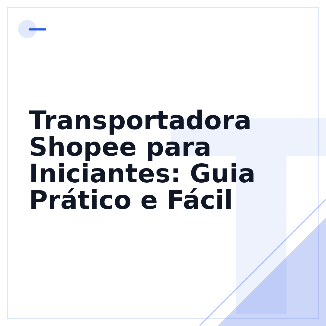 Transportadora Shopee para Iniciantes: Guia Prático e Fácil
